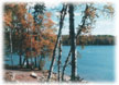 Little Bemidji Lake